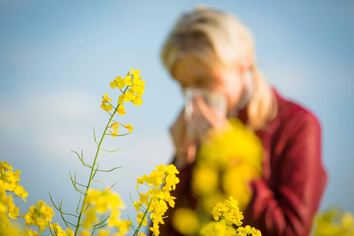 Tips For Hay Fever And Pollen Allergies Holden Healthcare